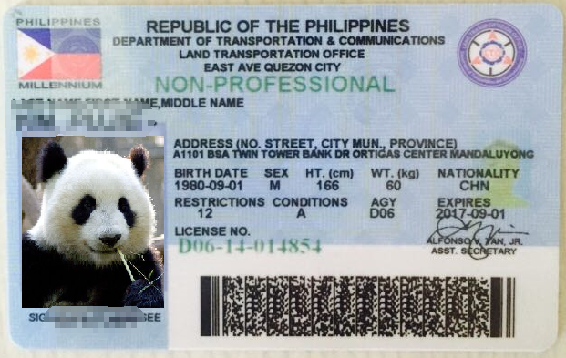 青岛车管所指定翻译公司盖章翻译菲律宾驾照